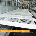 Galvanized Steel H Frame Chicken Raising System